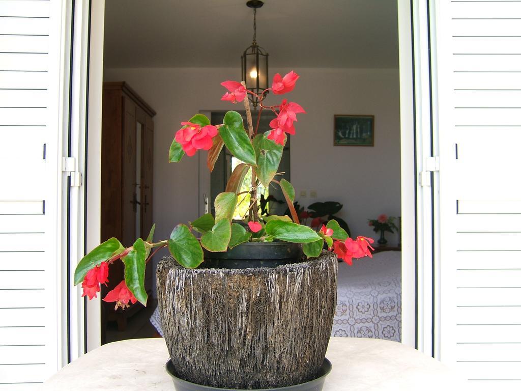 Holiday Home La Caverne Des Hirondelles แซ็ง-โฌเซฟ ภายนอก รูปภาพ