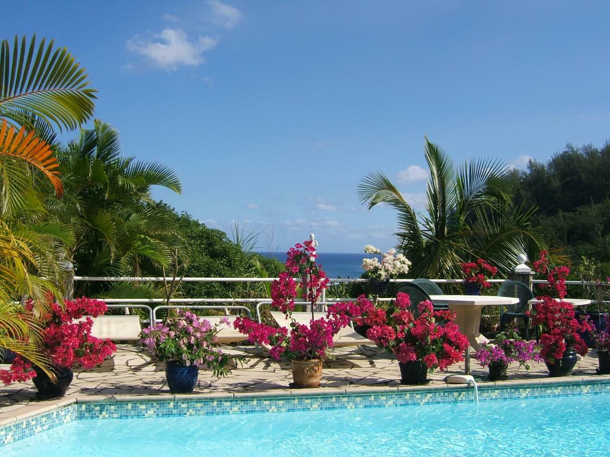 Holiday Home La Caverne Des Hirondelles แซ็ง-โฌเซฟ ภายนอก รูปภาพ
